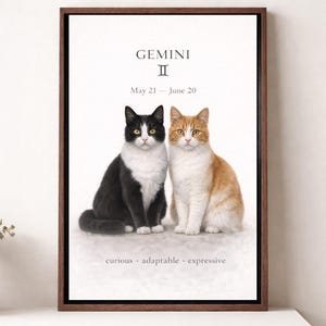 Op de afbeelding: Een ingelijste kunstdruk met de tekst GEMINI, het sterrenbeeldteken en de data May 21 - June 20. Onder de tekst zitten twee katten, een zwart-witte en een oranje-witte, naast elkaar. De onderste tekst luidt curious, adaptable, expressive.