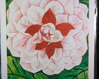 Fleur de Camellia