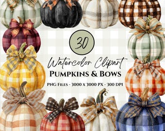 Fall Pumpkin Clipart-Fall Autumn PNG Bundle-Coquette Bows-Fall Plaid-Thanksgiving Harvest Instant Digital Download-Pumpkins & Bows Clipart