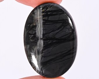 Puede incluir: Una piedra preciosa ovalada pulida, principalmente negra, con un acabado brillante. La piedra presenta intrincados patrones de vetas de color claro que contrastan con el fondo oscuro. La piedra preciosa se sostiene entre dos dedos.