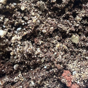 May include: A close-up view of dark brown potting soil mixed with small white perlite granules and tiny organic fibers. The texture is coarse, crumbly, and uneven, featuring a dense composition of dark earth particles and scattered light-colored mineral bits.