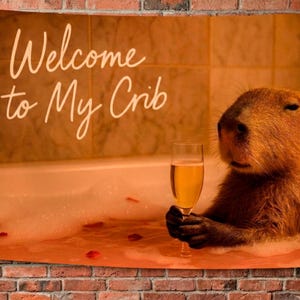 Funny Wall Flag 3x5 — Welcome to My Crib Decor