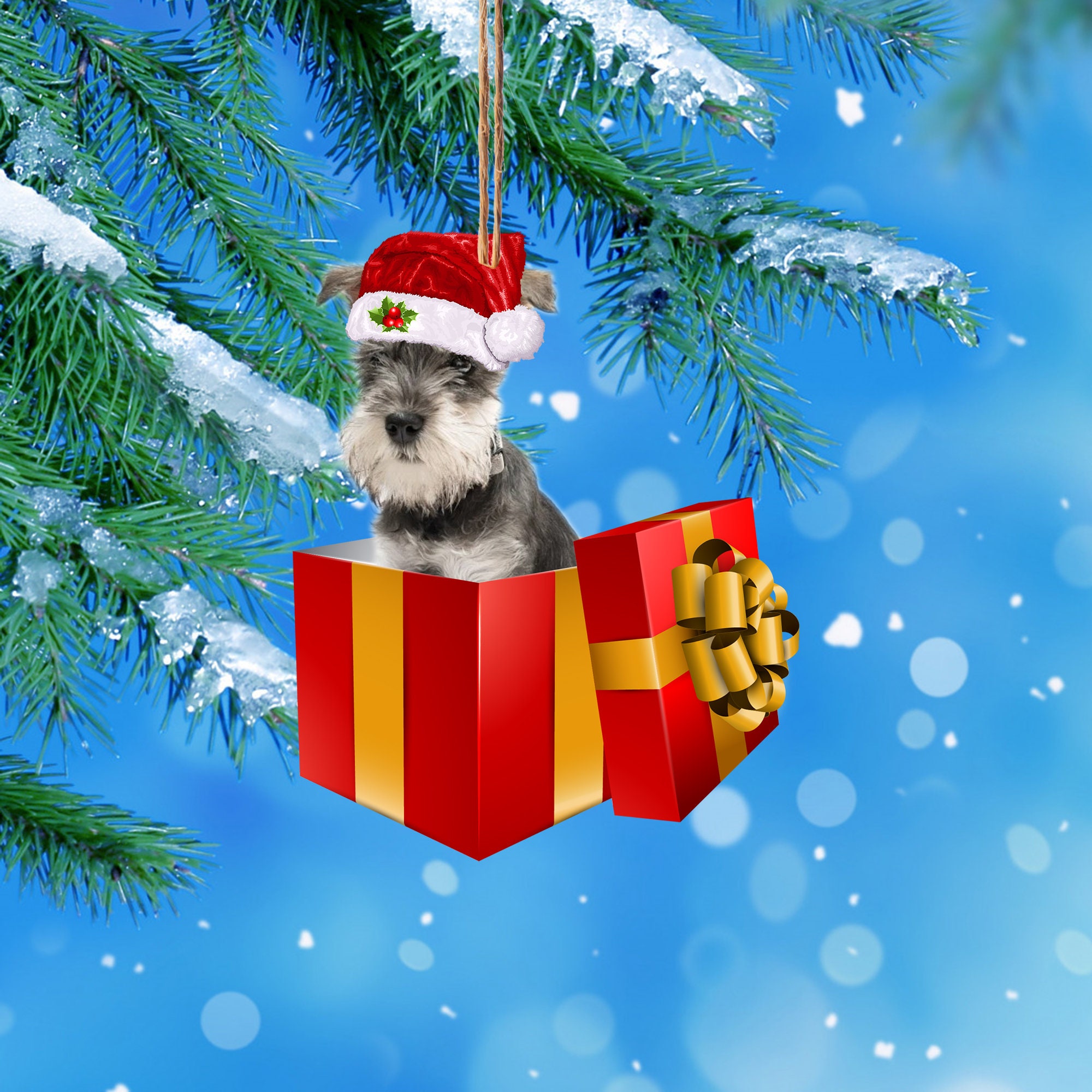 christmas eve box for dogs