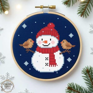 May include: A cross-stitch embroidery hoop featuring a snowman design. The snowman wears a red hat and scarf, with two brown birds perched on branches. The background is dark blue with white snowflakes.