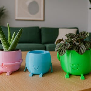 Könnte beinhalten: Drei farbenfrohe, skurrile Pflanzgefäße mit Pflanzen stehen auf einem Holztisch. Die Pflanzgefäße sind rosa, blau und grün, jedes mit einem lächelnden Gesicht und kleinen Beinen. Der rosa Pflanztopf enthält eine Aloe Vera-Pflanze.