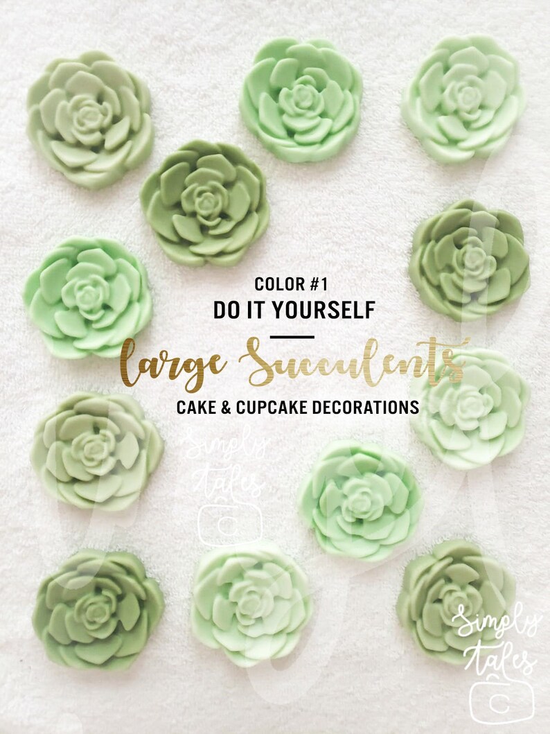 12 Edible Large Succulent Cupcake Toppers Cactii Party Etsy