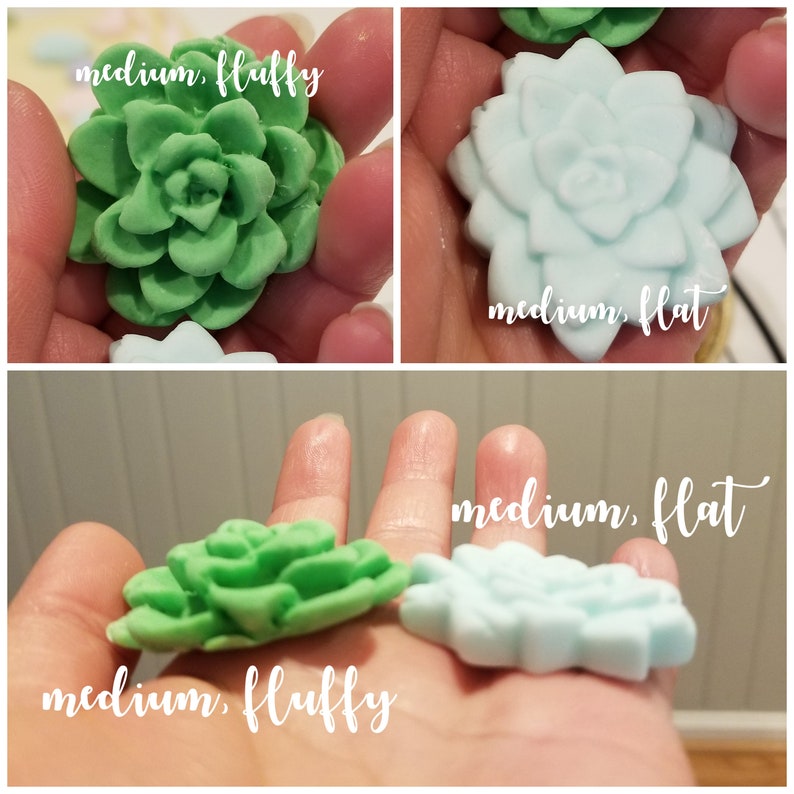 12 edible medium Succulent cupcake toppers Cactii party Etsy