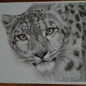 Leopard print drawing