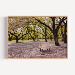 Puede incluir: Una impresión enmarcada de una escena de parque con un banco de madera. El parque presenta árboles con follaje verde y rosa, y el suelo está cubierto de pétalos caídos. La imagen está enmarcada en un marco de madera marrón claro.