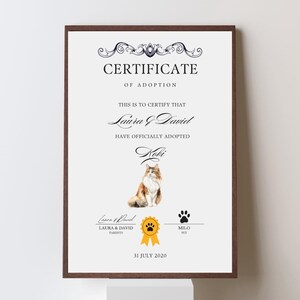 Könnte beinhalten: Gerahmte Adoptionsurkunde mit einem dunkelbraunen Rahmen. Die Urkunde trägt die Aufschrift "ADOPTIONSURKUNDE" und nennt "Laura & David" als Adoptiveltern von "Kobi". Ein Aquarellbild einer Katze befindet sich in der Mitte.