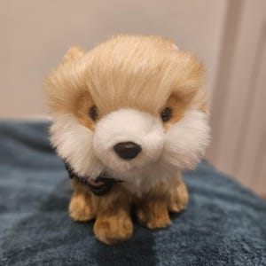 Emotional Support Animal (ESSA) Pomeranian Dog plushie