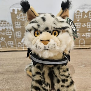 Lynxknuffel (Emotional Support Animal) (ESSA)