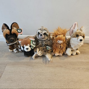 Emotional Support Animal (ESSA) Mystery Bag