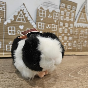 Caviaknuffel Emotional Support Animal (ESSA) zonder harnas