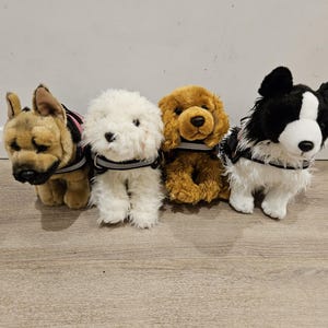 Emotional Support Animal (ESSA) Mystery DOG Bag