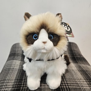 Kitty-knuffel Emotional Support Animal (ESSA)