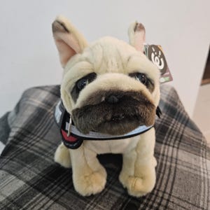 Emotional Support Animal (ESSA) Bull Dog plushie