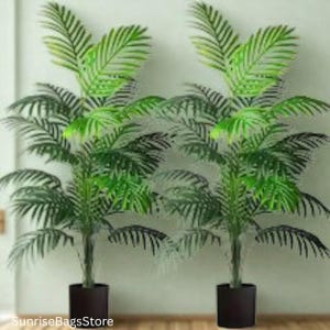 May include: Two artificial palm trees with vibrant green fronds and dark brown pots. The trees have multiple stems and a full, tropical appearance, adding a touch of nature to any indoor space. The image is taken in front of a light-coloured wall.