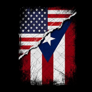 Puerto Rican American Flag Art, Dual Flag Design Print, Patriotic Wall Decor, Unique Puerto Rico USA Flag Poster, Cultural Artwork