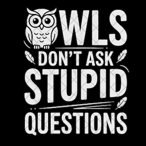 May include: Black graphic design featuring a white owl illustration and the text "OWLS DON'T ASK STUPID QUESTIONS." The design includes feathers and a clean, bold font, suitable for apparel or home decor.