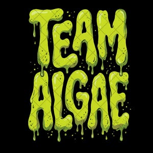 Peut inclure: Un design graphique présentant le texte TEAM ALGAE dans une police de caractères vert citron stylisée et dégoulinante. Les lettres semblent fondre ou être recouvertes d'une substance visqueuse, avec de petites taches sombres sur fond noir.