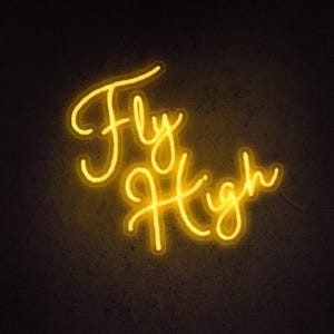 Enseigne Néon Led Fly High