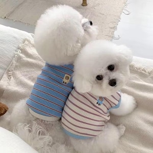 May include: Two small white dogs wearing striped shirts. One shirt is blue with white stripes, the other is pink and white. Both shirts have a small bear patch. The dogs are lying on a cream-colored surface.