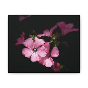 Pink Floral Canvas Art Print: Botanical Wall Decor