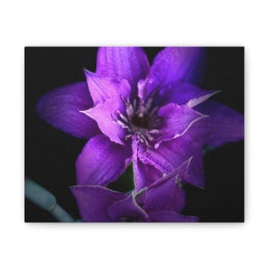 Purple Floral Canvas Wall Art: Modern Home Decor