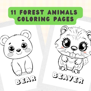 Forest Animals Coloring Pages: Educational Kids Activity (PDF Download A4/US Letter Sizes)