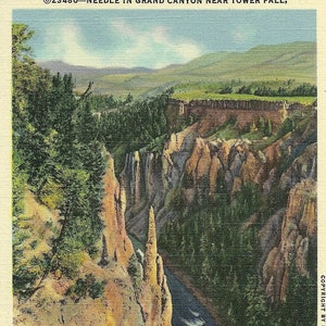 Cartão postal vintage do Parque Yellowstone da década de 1930, perto de Tower Falls