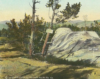 1930s Vintage Yellowstone Park Postcard White Elephant Mammoth Hot Springs