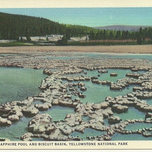 Vintage 1930s Yellowstone Park Postcard Sapphire Pool Biscuit Basin
