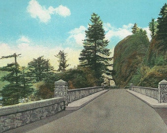 Vintage Oregon Postcard Columbia River Highway Shepperd's Dell