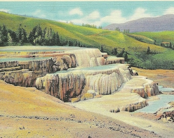 Vintage 1930s Yellowstone Park Postcard of the Mammoth Hot Springs Terraces