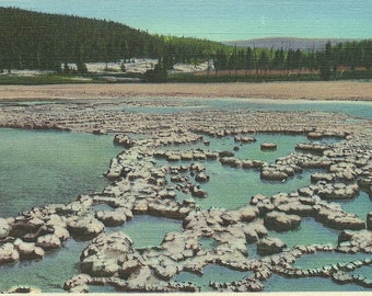 Vintage 1930s Yellowstone Park Postcard Sapphire Pool Biscuit Basin