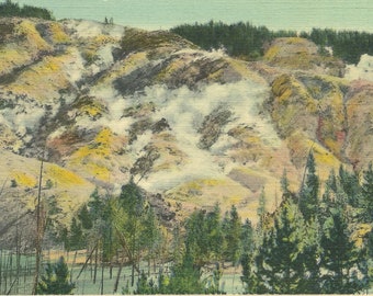 1930s Vintage Yellowstone Park Postcard Roaring Mountain Near Norris Geyser Basin