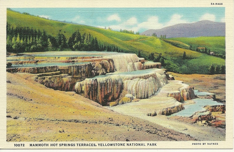 May include: A vintage postcard featuring a scenic view of Mammoth Hot Springs Terraces in Yellowstone National Park. The image shows a series of white and orange rock formations with pools of blue water.