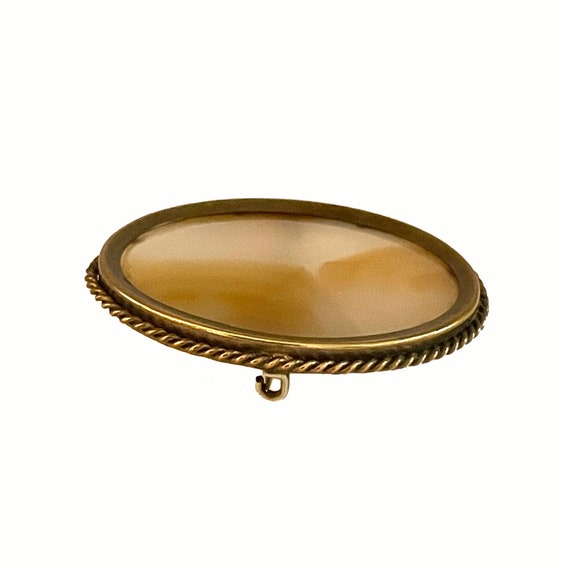 Antique Agate Brooch - image 8