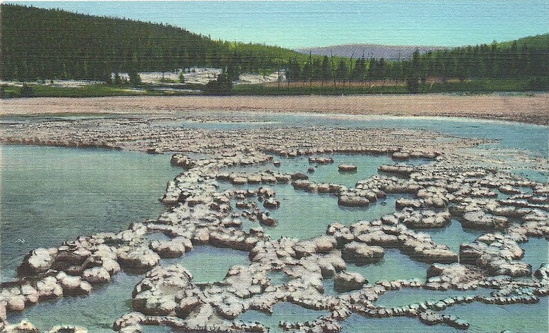 Vintage 1940s Yellowstone Park Postcard Sapphire Pool Biscuit Basin