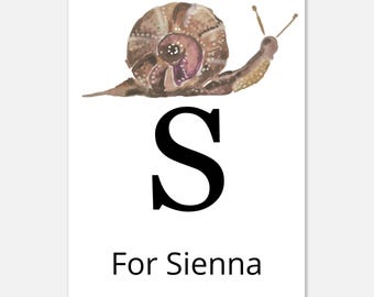 Personalised S for Snail