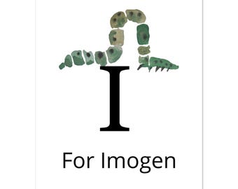 Letter Hand painted alphabet, Personalised I for Inchworm