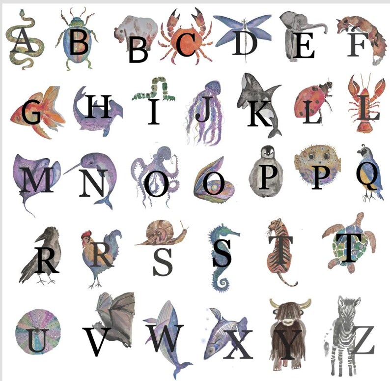 May include: Watercolor alphabet art featuring various animals, each paired with a letter. The illustrations include a snake, beetle, crab, dragonfly, elephant, and more, all in vibrant colors. The letters are in a bold, black font.