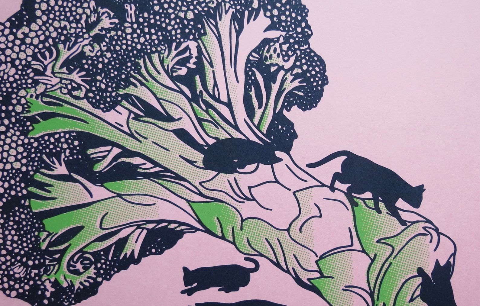 jelly cat broccoli