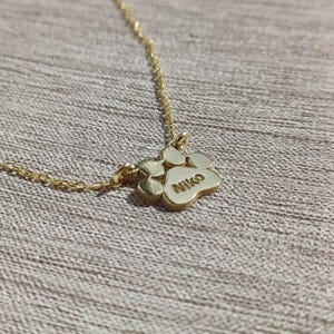 May include: A gold-coloured necklace featuring a paw print pendant. The pendant is inscribed with the name "Niko". The necklace is shown against a textured, neutral-toned backdrop.