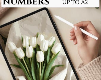 White Tulips - Paint By Numbers - High-resolution Digital Coloring Pages - Relaxing Art For Adults