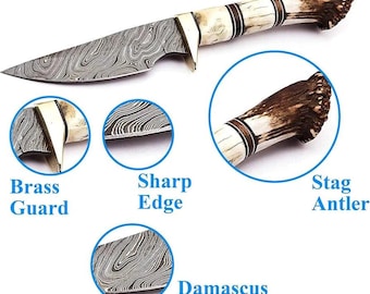 Damascus Steel Skinner Knife: Stag Horn Handle, Leather Sheath
