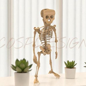 Könnte beinhalten: Eine Holzskelettfigur steht auf einer weißen Oberfläche, mit einer Reihe von Topf-Sukkulenten vor einem Fenster. Das Skelett ist hellbraun und hat ein detailliertes Design. Der Text "ECOSPDESIGNS" ist im Hintergrund sichtbar.