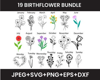 Pacote SVG e PNG de mês de nascimento de flores silvestres - Arquivos SVG de flores silvestres de mês de nascimento, clipart de flores de aniversário, downloads instantâneos botânicos