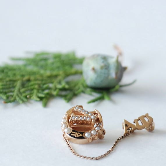 Lambda Chi Alpha Pin - Brother Badge - 2 Part Con… - image 1